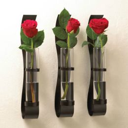 Accent Plus Set of 3 Wall Vases with Glass Cylinders