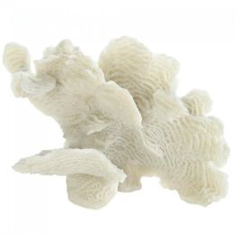 Accent Plus Tabletop Coral Decor